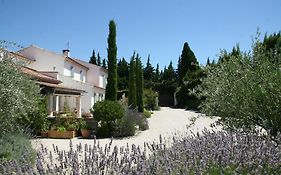Mas De L'Estello